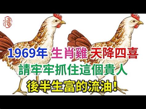 1969 雞 五行|生肖雞：1969年是什麼命？